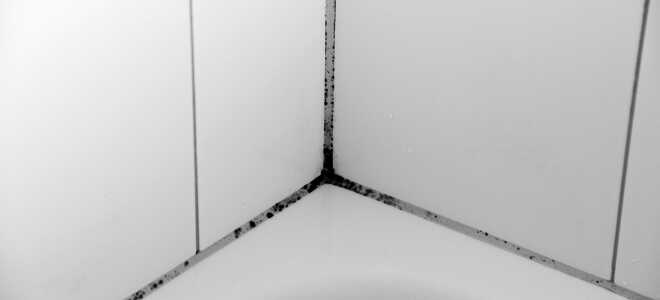 Убираем плесень и грибок на кафеле