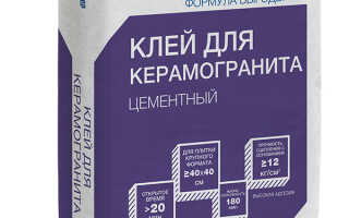 Наилучший вариант клея для керамогранита — какой?