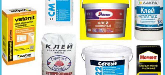 Как приклеить плитку на гипсокартон