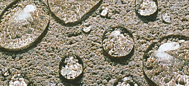 Настенная керамическая плитка