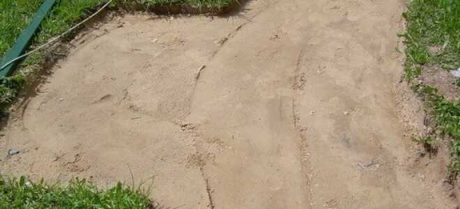 Как класть тротуарную плитку