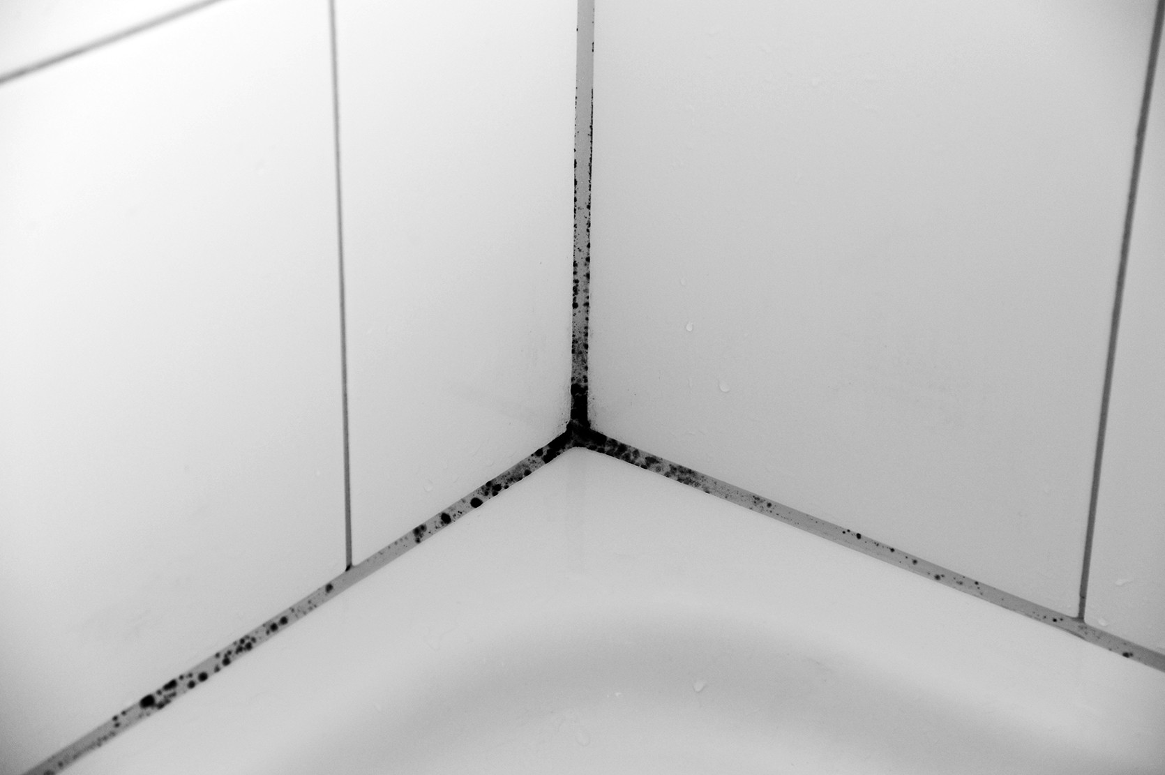 1450012299_5