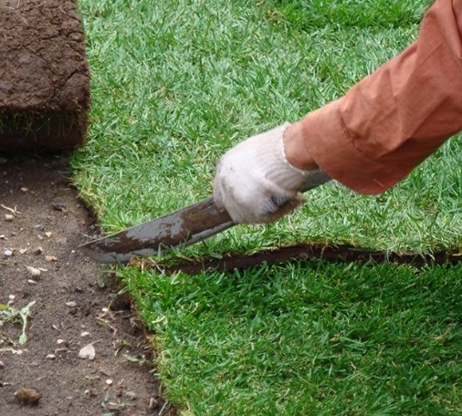 Удаление дёрна